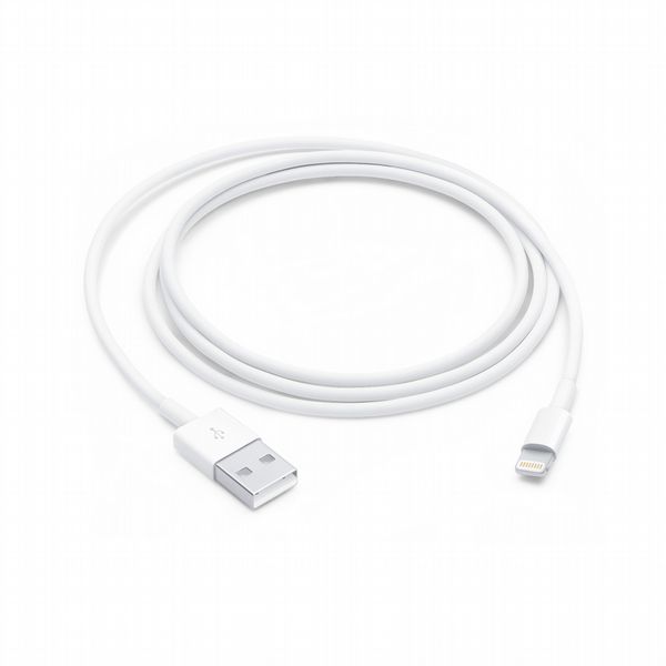 Apple USB-A to Lighting Cable (1m)